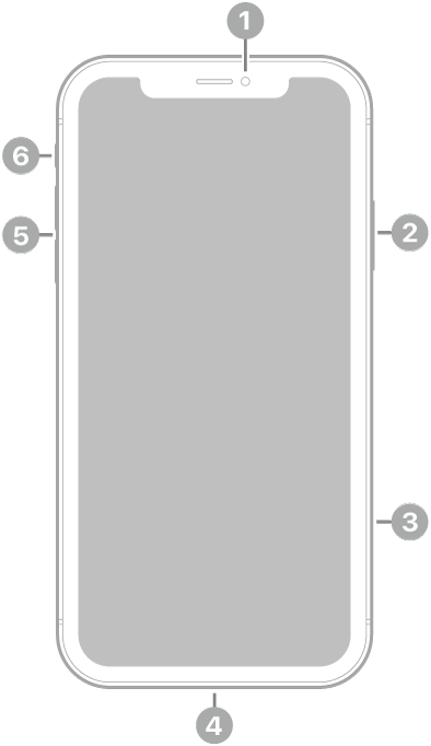 La vue de face de l’iPhone&nbsp;11. La caméra avant se trouve en haut au centre. Sur le côté droit, de haut en bas, se trouvent le bouton latéral et le support pour carte SIM. Le connecteur Lightning se trouve en bas. Sur le côté gauche, de bas en haut, se trouvent les boutons de volume et le bouton Sonnerie/Silence.