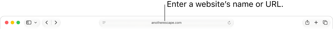 The Safari Smart Search field, where you can enter a website’s name or URL.