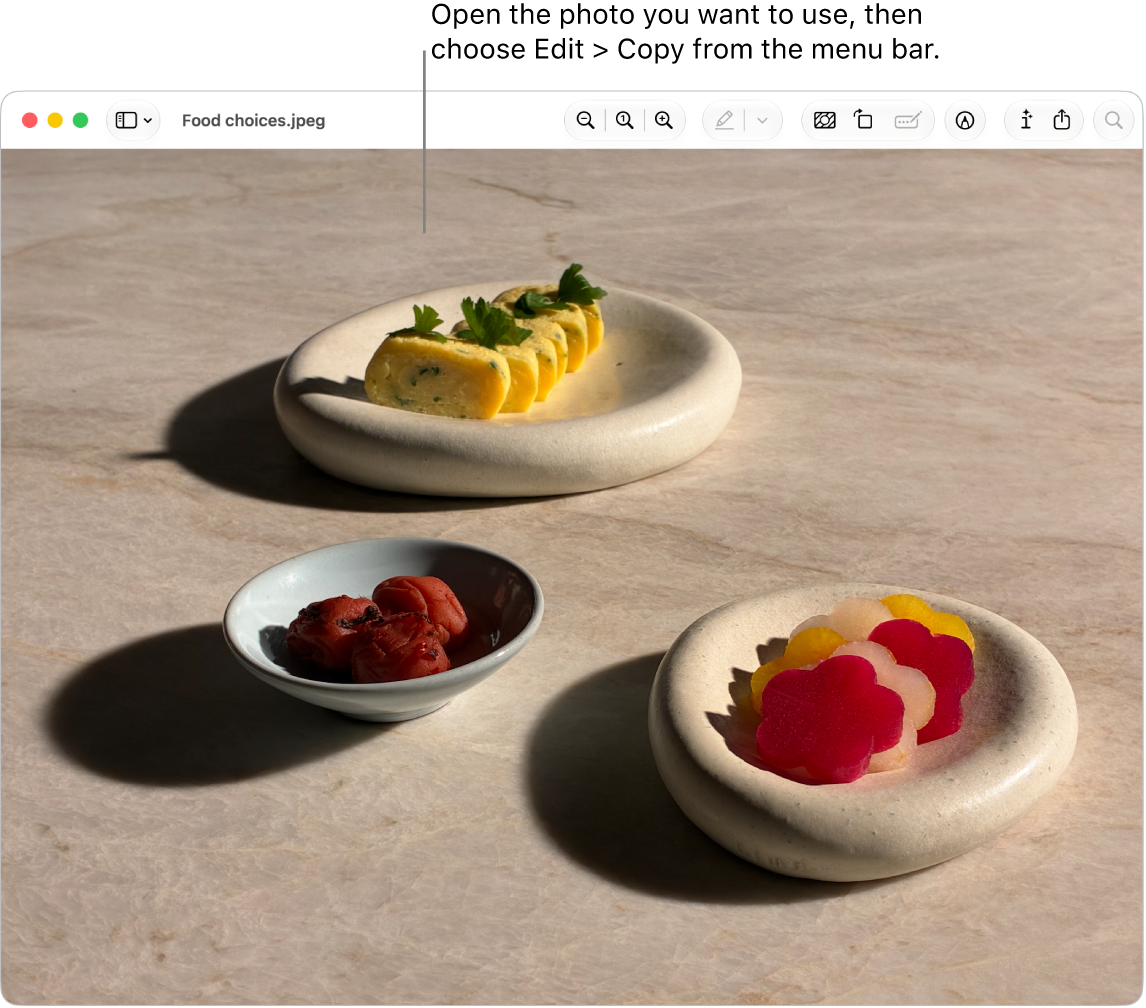 The Preview app showing a picture to be copied.