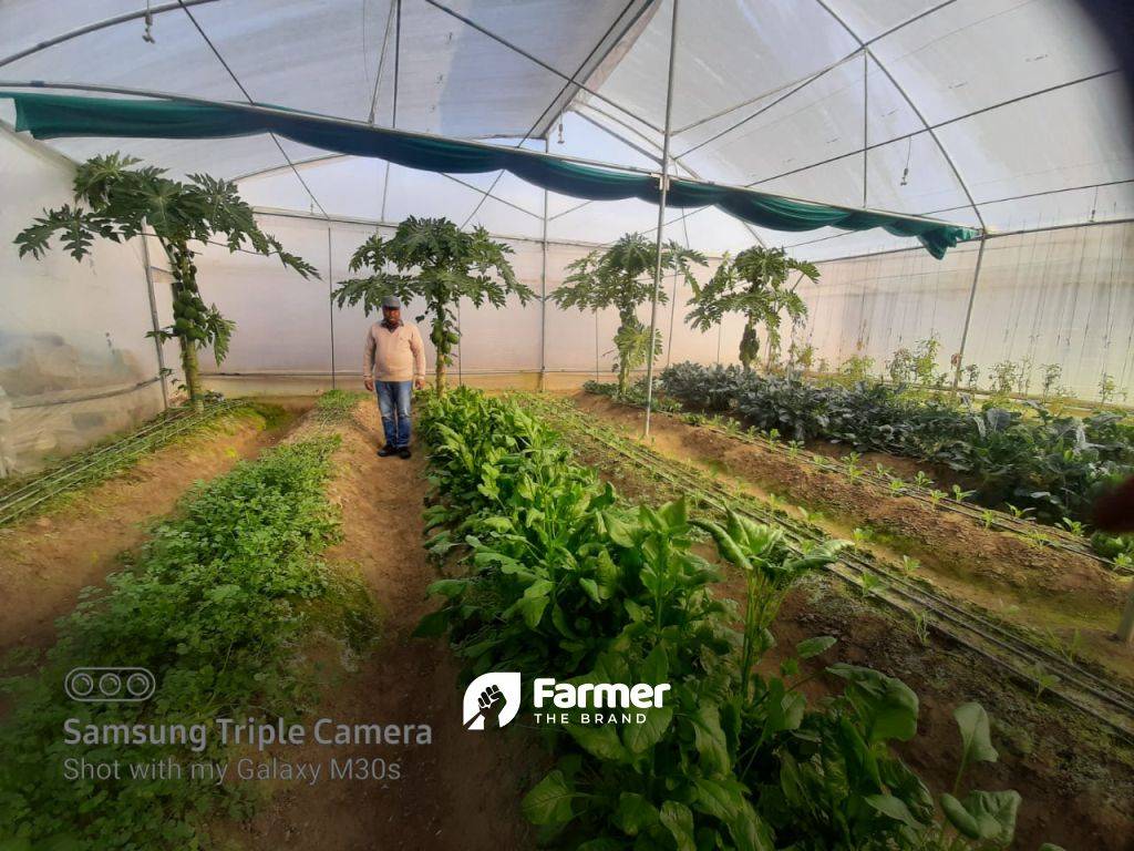 Agriculture after Retirement! Passionate Farming & Trading in Kangra