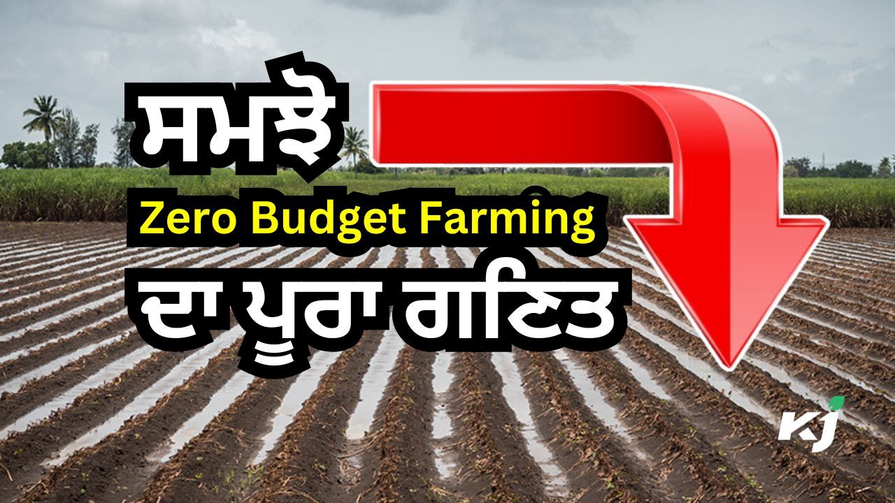 ਤੁਸੀਂ ਵੀ ਕਰ ਸਕਦੇ ਹੋ Zero Budget Farming, ਮਿਲਣਗੇ ਇੰਨ੍ਹੇ ਸਾਰੇ ਫਾਇਦੇ, ਜਾਣੋ ਕੌਣ ਲੈ ਸਕਦਾ ਹੈ ਇਸ ਯੋਜਨਾ ਦਾ ਲਾਭ