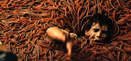 Top 10 Insect Horror Films