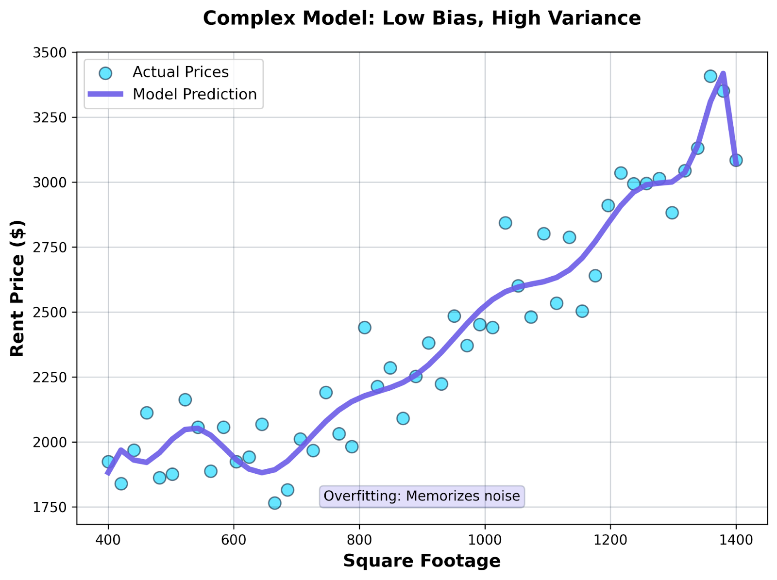 Complex model