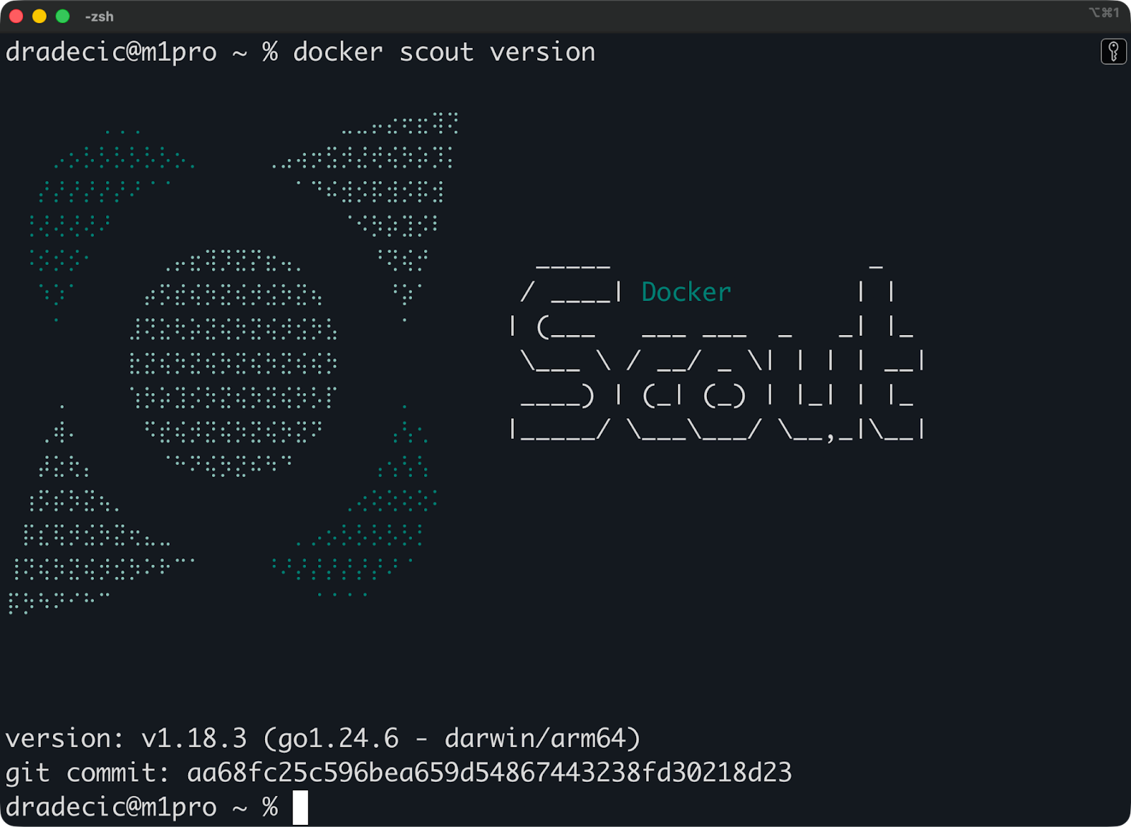 Versión Docker Scout