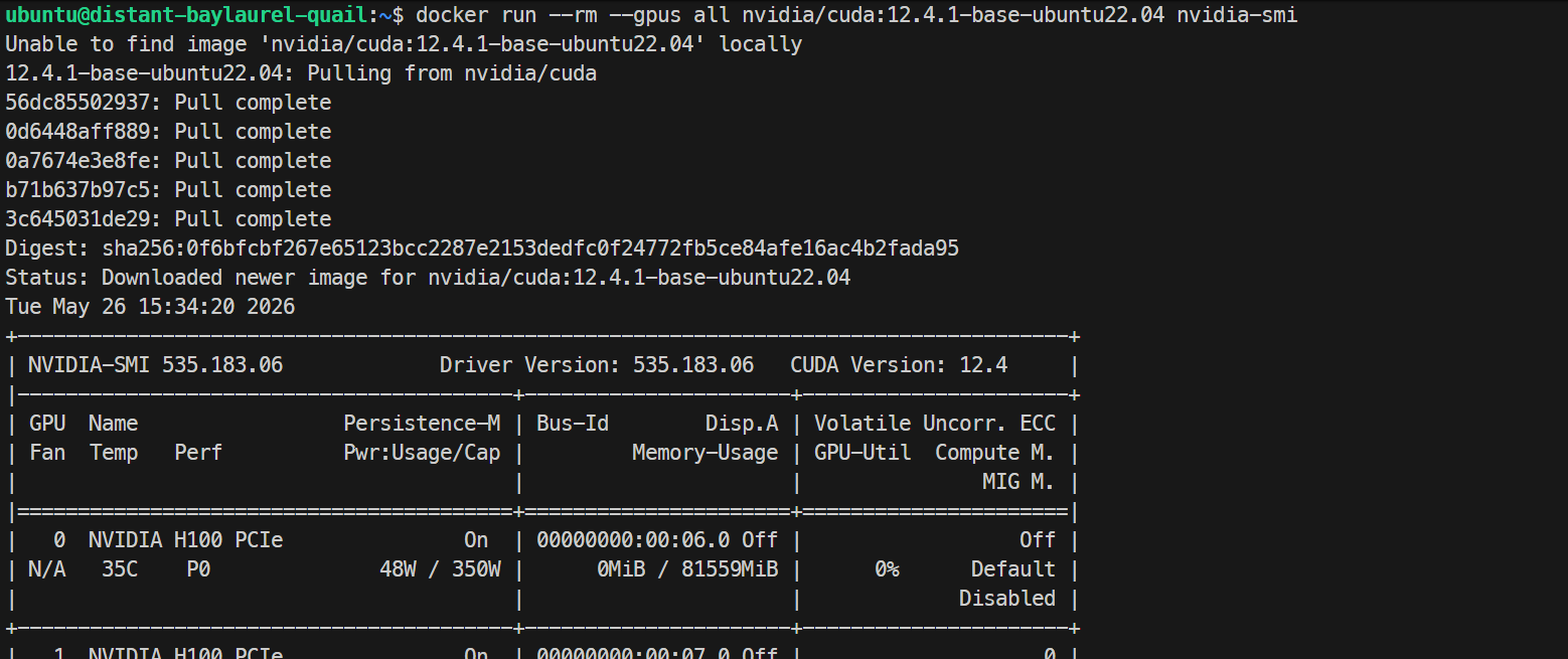 4× NVIDIA H100 PCIe 80GB GPUs avaiable in the Docker