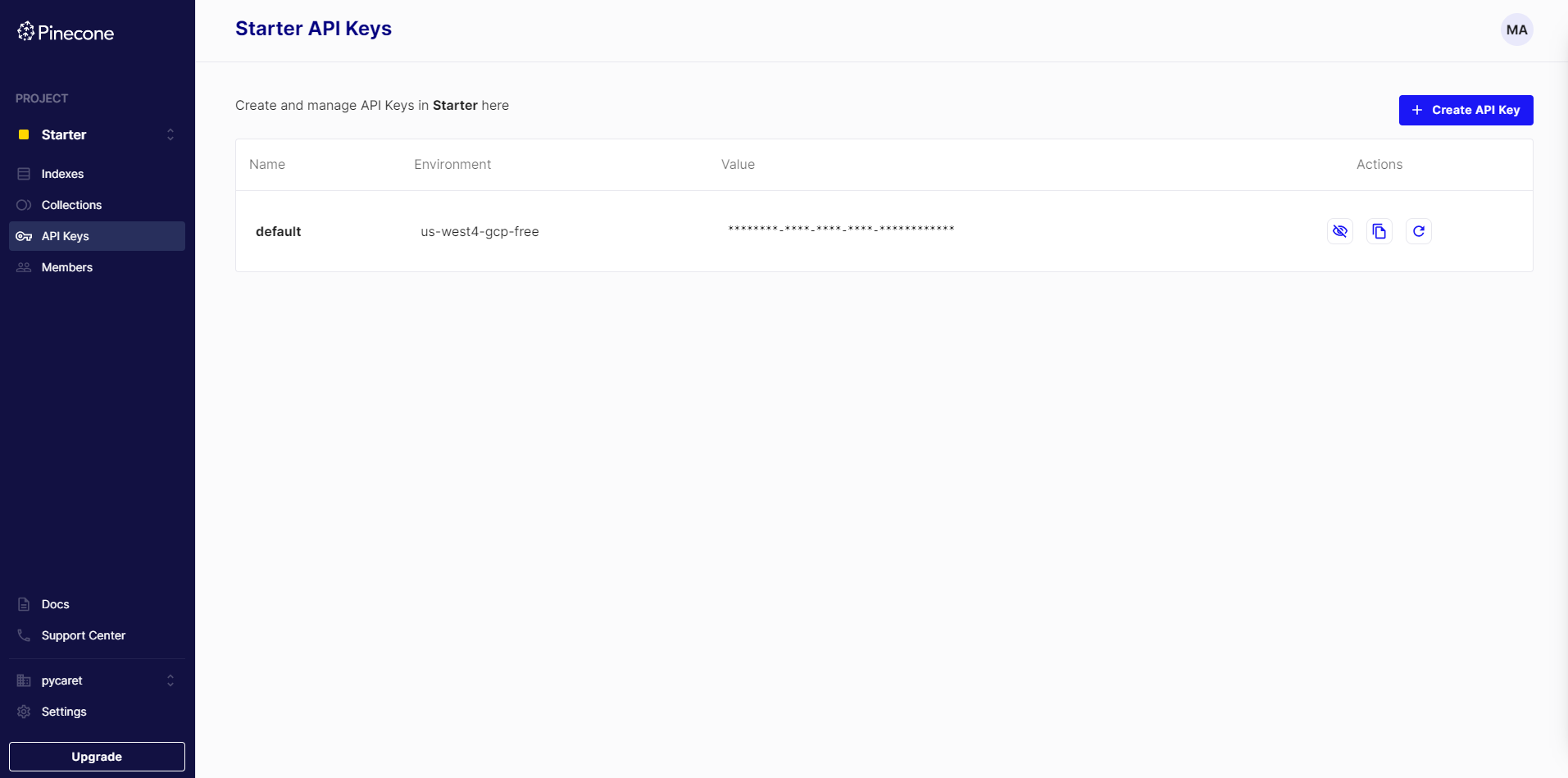 Pinecone API Page