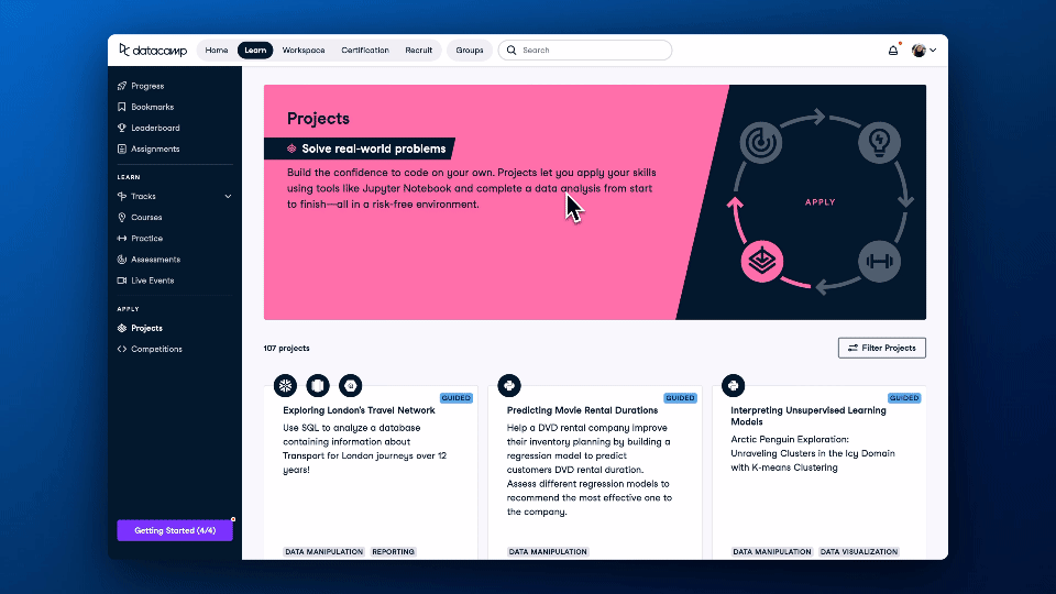 DataCamp Projects