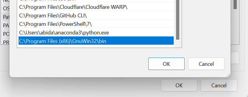 Setting environment variable in windows