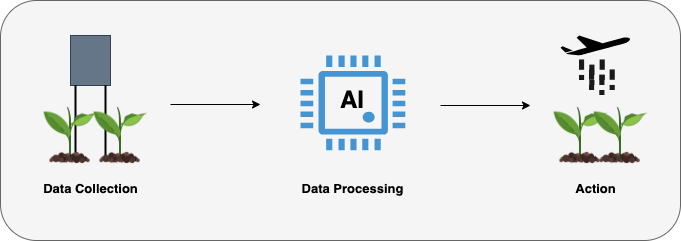 Edge AI processes