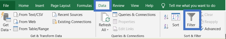 Select the Data tab, and then click the Filter command