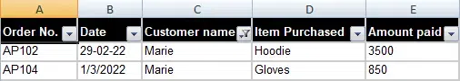 How to Add, Use and Remove Filter in Excel