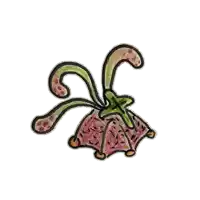 a colorful drawing of a flower with a star in the center