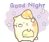 a cartoon drawing of a cat wearing a sleep cap and says good night