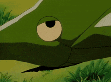 a green lizard with a hole in its eye