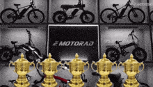 several gold trophies are lined up in front of a display of e motorrad bikes