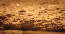 a close up of a sandy surface with a blurred background .