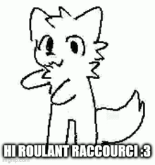 a black and white drawing of a cat with the words `` hi roulant raccourci 3 '' written on it .