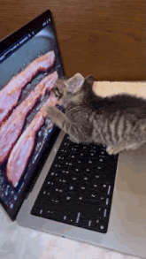 a kitten is playing with a laptop that has bacon on the screen