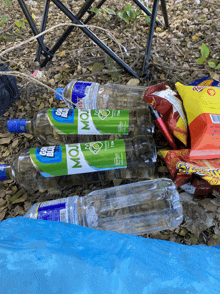 three bottles of mojito sit on a blue tarp