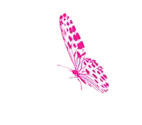 Borboletas Butterfly Sticker