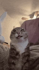 a cat is sitting on a bed with its tongue out and looking at the camera .