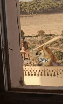 a picture of a dog holding a bat with arabic writing on the bottom