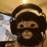 a cat wearing headphones and a ski mask