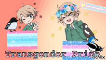 a transgender pride poster with a boy with a flower crown