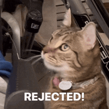 a cat with the word rejected on the bottom