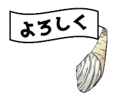 a cartoon drawing of a seashell with a sign that says ' y3lk ' on it