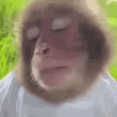 a close up of a monkey 's face with its eyes closed and a hat on .