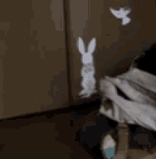 a cat is standing in front of a wall with a rabbit and a bird on it