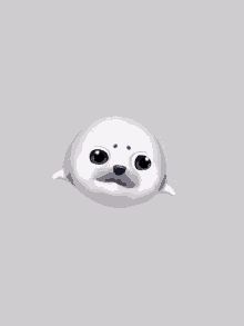 a white seal with blue eyes is smiling and looking at the camera