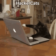 a black and white cat is using an apple laptop computer .