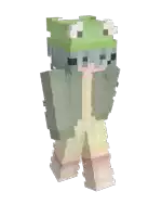 a minecraft character with a frog hat on