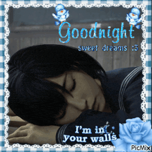 a picture of a girl sleeping and the words goodnight sweet dreams