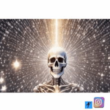a picture of a skeleton with a skull in front of a glowing light