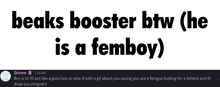 beaks booster btw ( he is a femboy ) is written in black on a white background