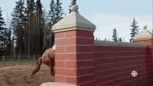 a horse is jumping over a red brick wall in a field .
