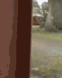 a blurred image of a house with a tree in the foreground