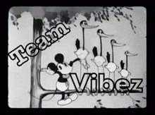 a black and white image of mickey mouse with the words team vibez below him