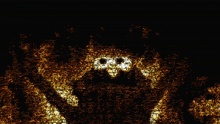 a computer generated image of a spider with a smiley face on its face
