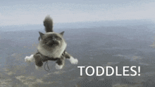 a cat is flying through the air with the words `` toddles '' written on the bottom .