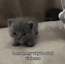 a small gray kitten is sitting on a bed and says `` i am on my way to start violence '' .