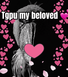 a black and white photo of a bird with a pink heart and the words " tgpu my beloved "