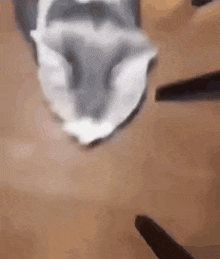 a close up of a person holding a piece of paper on a wooden surface .