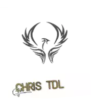 a logo for chris tdl with a phoenix
