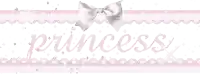 a pink and white banner with the word princess and a white bow
