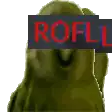 a green parrot with a sign that says rofl behind it .