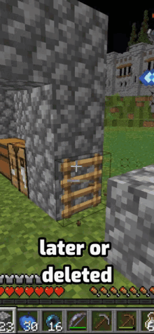 a screenshot of a video game with the words later or deleted on the bottom